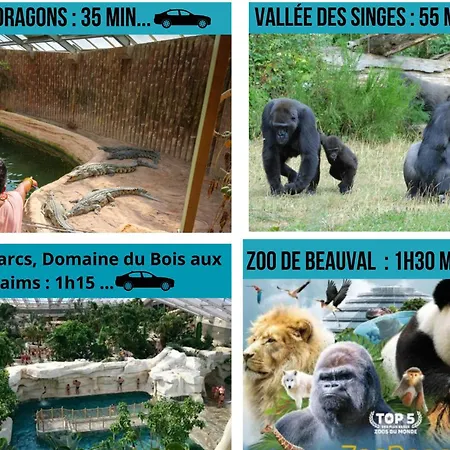 Le Castille D'or Elegant, En Face De L'hotel De Apartment *