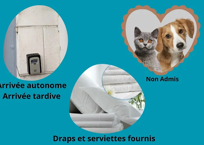 Le Castille D'or Elegant, En Face De L'hotel De *